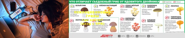 мяу мяу кристалл Гусиноозёрск